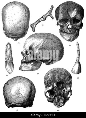 79-83) il cranio di un uomo vecchio dalla grotta Cro-Magnon. 79) faccia. 80) Profilo. 81) visto da sopra. 82) visto da dietro. 83) di base. 84) Maniglia intagliata di un corno di renna strumento. 85) il dente di una volpe, vista trasversale. 86) Vista frontale., , (antropologia Prenota, 1874) Foto Stock