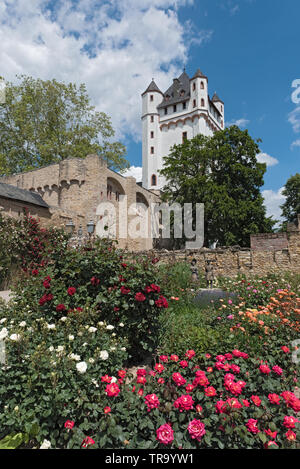 La torre del castello elettorale in Eltville sul Reno in Germania Foto Stock