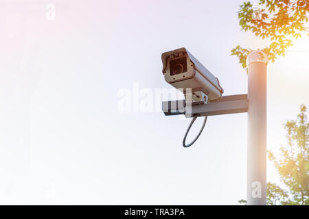 Protezione esterna monitor TVCC di color bianco sulla struttura ad albero e gli sfondi del cielo Foto Stock