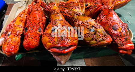 Pesce rosso con macchie nere è servita su un piatto per il consumo Foto Stock