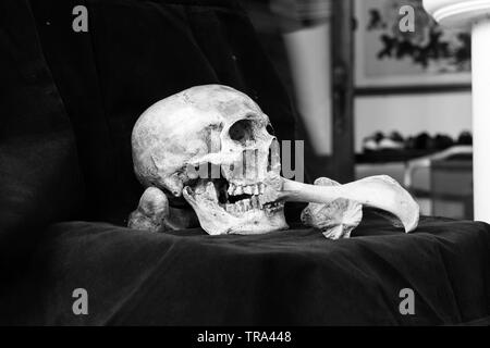 Cranio e osso immagine bianco e nero, vintage Foto Stock