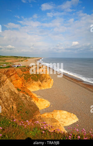 Una vista delle scogliere e spiaggia di ciottoli verso ovest dalla scogliera a Weybourne, Norfolk, Inghilterra, Regno Unito, Europa. Foto Stock