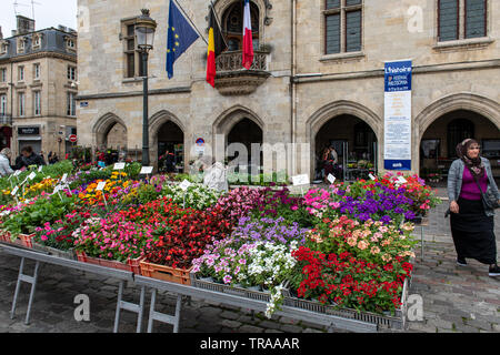 All'aperto dell'agricoltore nel mercato LIBOURNE, Francia Foto Stock