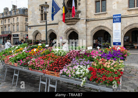 All'aperto dell'agricoltore nel mercato LIBOURNE, Francia Foto Stock