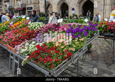 All'aperto dell'agricoltore nel mercato LIBOURNE, Francia Foto Stock