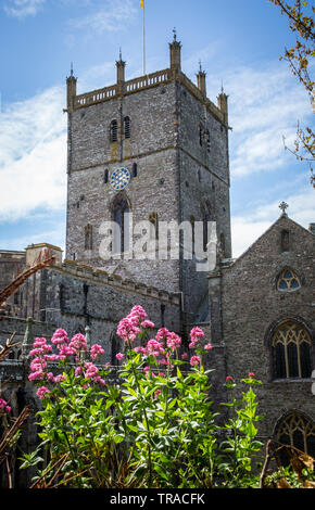 St Davids Cathedral in Pembrokeshire,costruito da St David il santo patrono del Galles la cattedrale è stata un luogo di culto per oltre 800 anni. Foto Stock