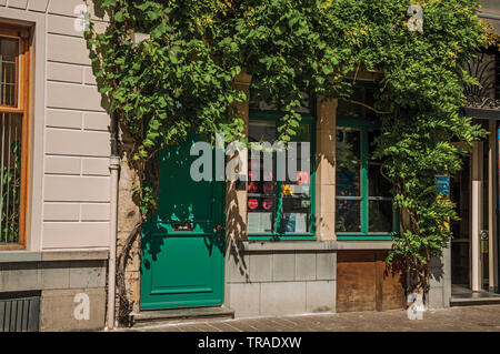 Ristorante facciata con superriduttore nel centro città di Gand. Città con una intensa vita culturale e di edifici gotici in Belgio. Foto Stock