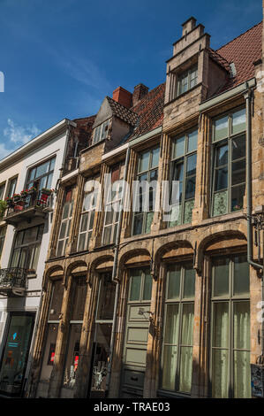 Negozio di costruzione facciata e cielo blu nel centro città di Gand. Città con una intensa vita culturale e di edifici gotici in Belgio. Foto Stock