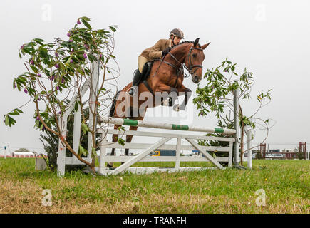 Belgooly, Cork, Irlanda. Dal 01 Giugno, 2019. Maura Crowley da Castleisland con la sua Irish Sport Horse LVS Casper cancellazione di un salto durante la competizione nell'annuale Fiera Agricola che si è tenuto a Belgooly, Co. Cork, Irlanda. Credito; David Creedon / Alamy Live News Foto Stock