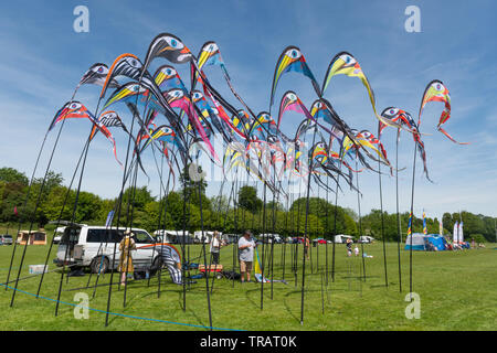 Basingstoke Kite Festival nel mese di giugno 2019, una manifestazione popolare, Hampshire, Regno Unito Foto Stock