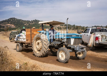 Un agricoltore aziona anche se un sito contaminato, lasciati da gas illegale furto, vicino alla comunità La Preciosita, Puebla, Messico, 16 gennaio 2019. Lo stato di Puebla è nota per la sua alta quantità di gas illegale il furto. Foto Stock