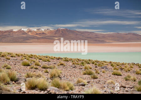 Lago nell'altipiano della Bolivia, vicino Polques hot springs Foto Stock