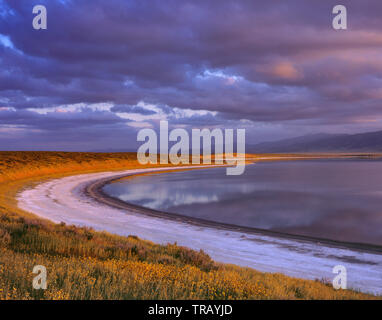 Tramonto sul lago di soda, Carrizo Plain monumento nazionale, San Luis Obispo County, California Foto Stock