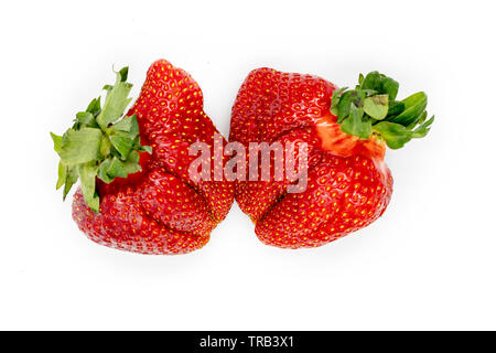 Imperfetta Fragola organico. Il cibo fresco isolato su sfondo bianco. Deliziosi piatti di frutti di bosco maturi NutrientCollection di due. Succosa rosso dolce Strawbe Heiroom Foto Stock