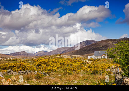 Irlanda del Nord, Co Down, Alta Mournes, cottage isolato nel paesaggio roccioso a giallo valle di acqua Foto Stock