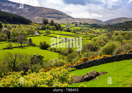 Irlanda del Nord, Co Down, Clanachullion Bridge, vista di terreni agricoli Shimna lungo la valle del fiume verso la montagna di burro Foto Stock