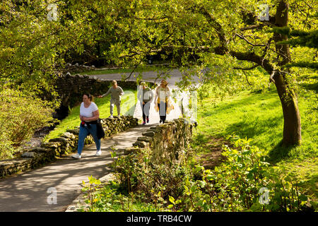 Irlanda del Nord, Co Down, Bryansford, Tollymore Forest Park, famiglia a piedi attraverso il parco paesaggistico Foto Stock