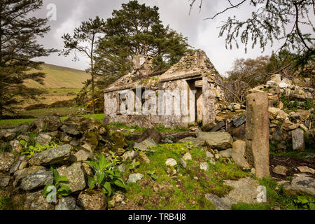 Irlanda del Nord, Co Down, Bassa Mournes, Curraghknockadoo, abbandonato rustico in località di montagna Foto Stock