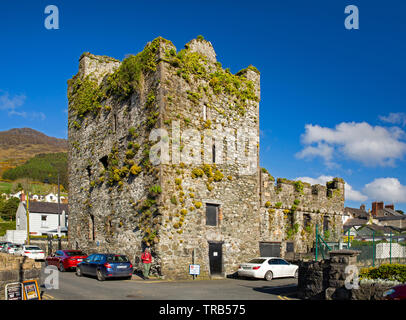 Irlanda, Co Louth, penisola di Cooley, Carlingford, Taafe il castello, le rovine di C16th tower house Foto Stock
