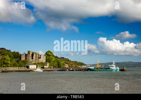 Irlanda, Co Louth, penisola di Cooley, Carlingford, St John's castello medievale, rovina sopra il porto Foto Stock