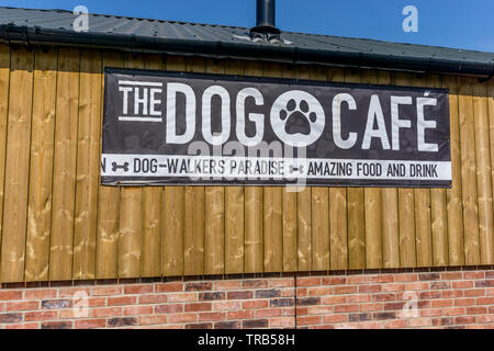 Il cane cafe a Cannon Hall Farm, corteccia House Lane, Cawthorne, Barnsley, South Yorkshire, Inghilterra, Regno Unito Foto Stock