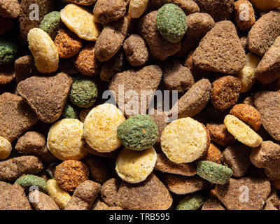 Una chiusura secca di cibo per cani kibble Foto Stock