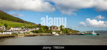 Irlanda, Co Louth, Carlingford, città e St John's castello medievale, rovina sopra il porto, panoramica Foto Stock