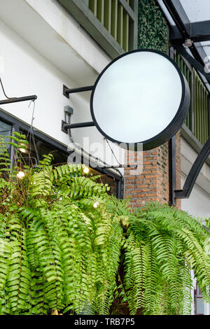 Blank round shop segno della luce cassetta pensile sul retro cafe con foglie di felce Foto Stock