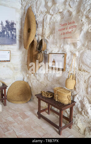 Diversi prodotti di sparto , halfah, di erba o di erba sparto. Museo dell olio d oliva Hacienda La Laguna. Baeza, provincia di Jaén, Andalusia, Spagna. Foto Stock