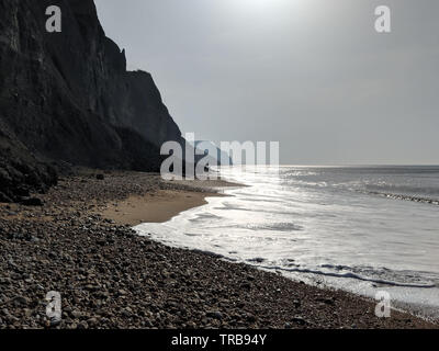 A caccia di fossili sulla spiaggia Charmouth guardando verso il Golden Cap. Foto Stock