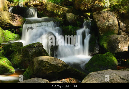 Bella cascata a cascata su verdi rocce di muschio nella foresta. Romantico e rilassante, paesaggio naturale nel Parco Nazionale di Harz, Germania centrale. Foto Stock