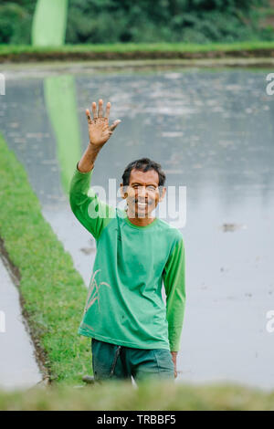 Come ottenere un'onda da molto amichevole riso Balinesi agricoltore a Jatiluwih terrazze di riso, Bali, Indonesia Foto Stock