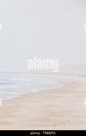 Camion Lone sulla spiaggia di Stockton Sand Dunes, nuovo Galles del Sud, Australia Foto Stock