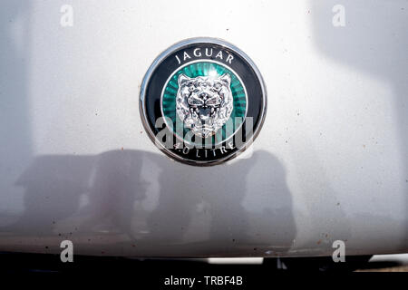 Jaguar cars' badge classico marque mascotte Foto Stock