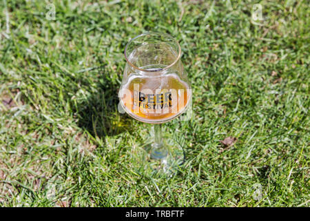 Kiev, Ucraina - 20 Maggio 2018: Bicchiere di birra artigianale con logo festival closeup durante Kyiv Festa della Birra vol. 3 in arte Zavod Platforma. Circa 300 unico Foto Stock