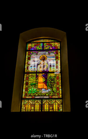 San Pedro, finestre di vetro macchiate da Cattedrale Metropolitana di Panama Foto Stock