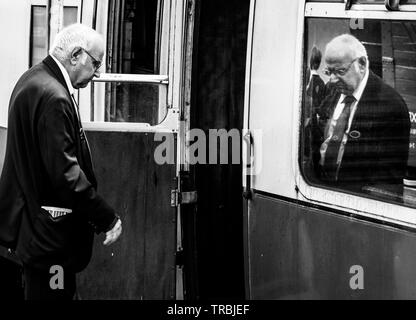 Ferrovia a vapore Foto Stock