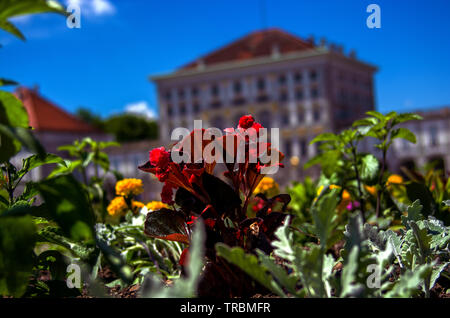 D - Bavaria : Nympfenburg Palace Foto Stock