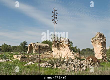 Ruderi a Ramat Hanadiv, Israele Foto Stock