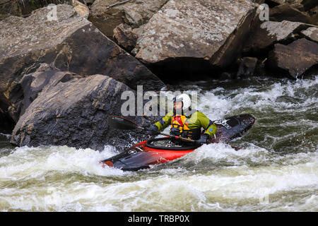 Unico kayaker maschio in acqua bianca rapids in Clear Creek in Colorado Foto Stock