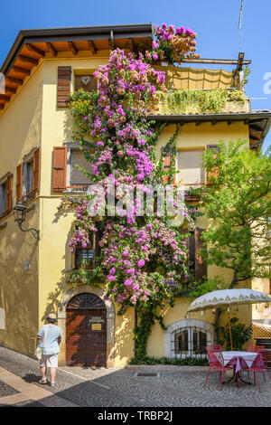 GARDONE RIVIERA, Italia - Settembre 2018: persona che cammina davanti a un edificio coperto da una grande fioritura pianta rampicante in Gardone Riviera. Foto Stock