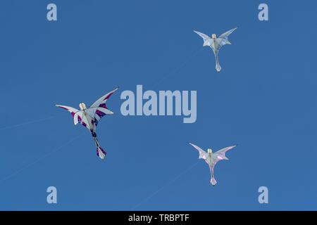 Basingstoke Kite Festival nel mese di giugno 2019, una manifestazione popolare, Hampshire, Regno Unito. Angelo volare aquiloni contro un cielo blu. Foto Stock