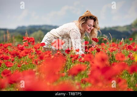 Donna bionda la raccolta dei fiori in poppie fild Foto Stock