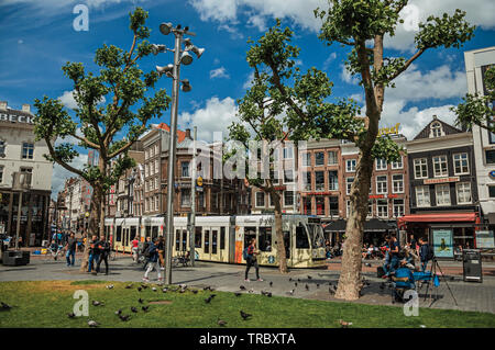 La gente a piazza Rembrandt, il tram e i tipici edifici in Amsterdam. Città con enorme attività culturali, dei canali e dei ponti nei Paesi Bassi. Foto Stock