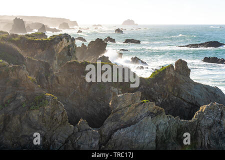 La costa di Big sur lungo l'autostrada 1 tra Los Angeles e San Francisco. Foto Stock