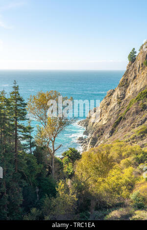 Belle foglie dorate spiccano in un mare turchese lungo il Big Sur Costa in California. Foto Stock