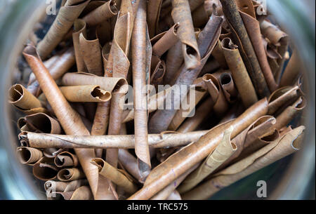 Secchi laminati di foglie di tabacco, close up, macro Foto Stock