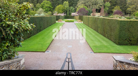 RHS Garden Rosemoor, una vista dall'ingresso ai giardini formali e siepi con uno sfondo di alberi e arbusti, Foto Stock