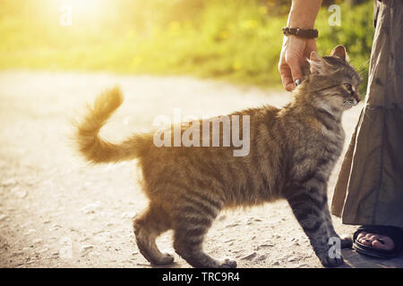 In una strada di campagna al sole, una donna in gonna lunga e sandali accarezzare un cantiere soffici senzatetto cat Foto Stock