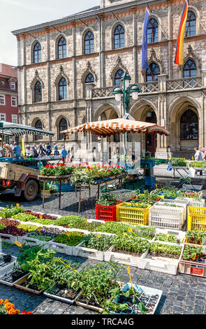 WEIMAR, GERMANIA-Maggio 24, 2019: mercato settimanale in piazza del mercato di fronte al municipio. Foto Stock